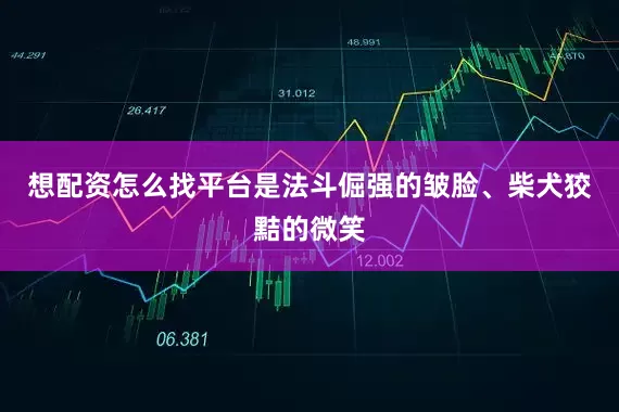 想配资怎么找平台是法斗倔强的皱脸、柴犬狡黠的微笑