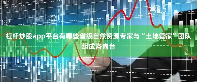 杠杆炒股app平台有哪些省级自然资源专家与“土地管家”团队组成咨询台