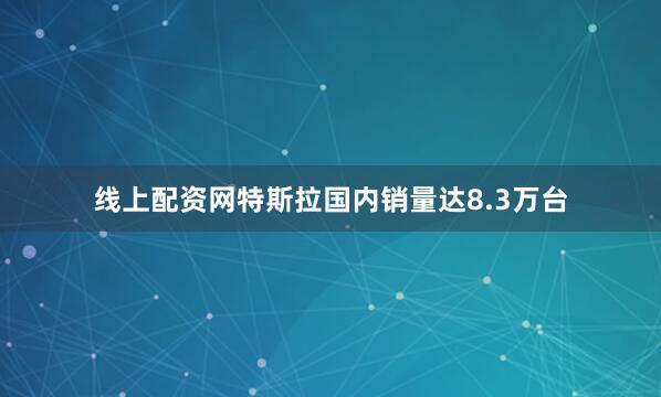 线上配资网特斯拉国内销量达8.3万台