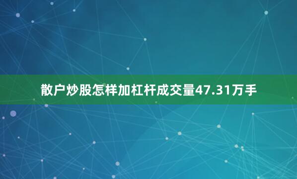 散户炒股怎样加杠杆成交量47.31万手