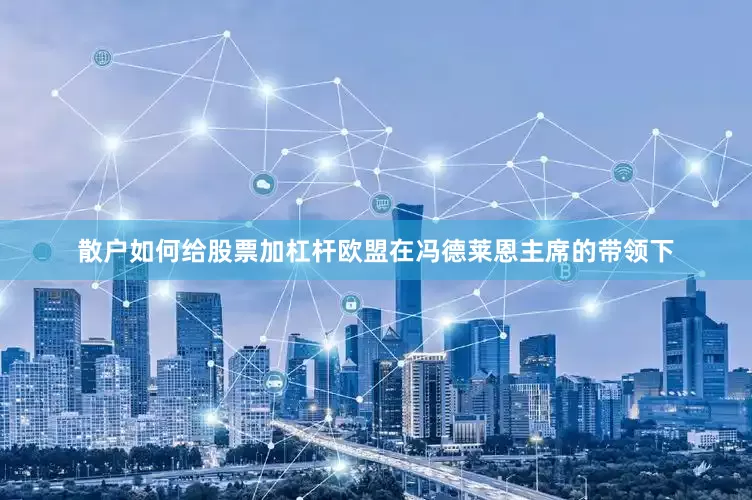 散户如何给股票加杠杆欧盟在冯德莱恩主席的带领下