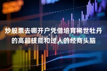 炒股票去哪开户凭借培育稀世牡丹的高超技能和过人的经商头脑