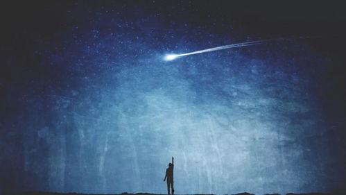 追光者2024,追光者的梦想与奋斗